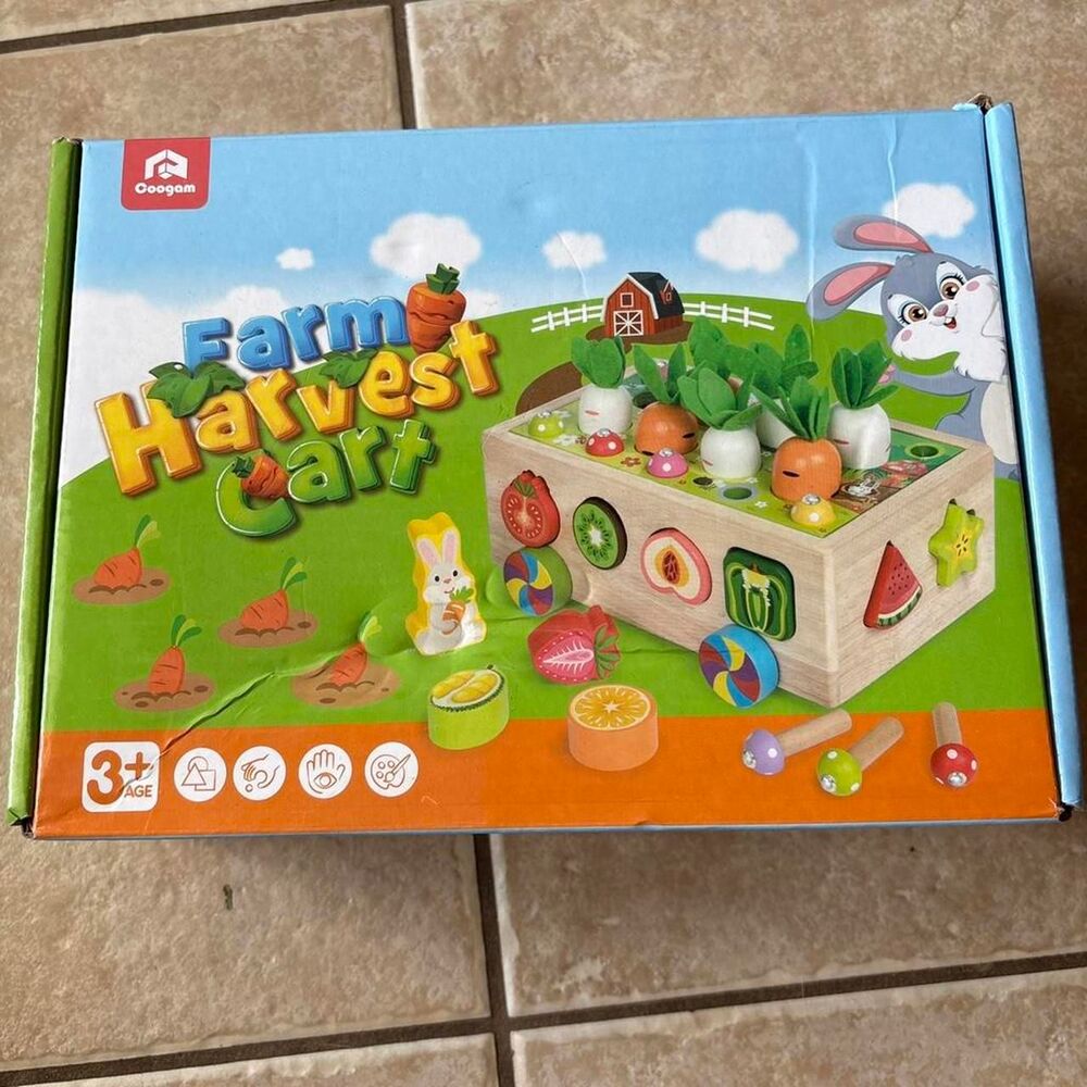 multi Learning-toys